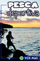 Pesca deportiva