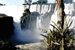 Cataratas del Iguaz