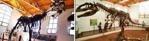 Paleontologia en Villa El Chocon Neuquen