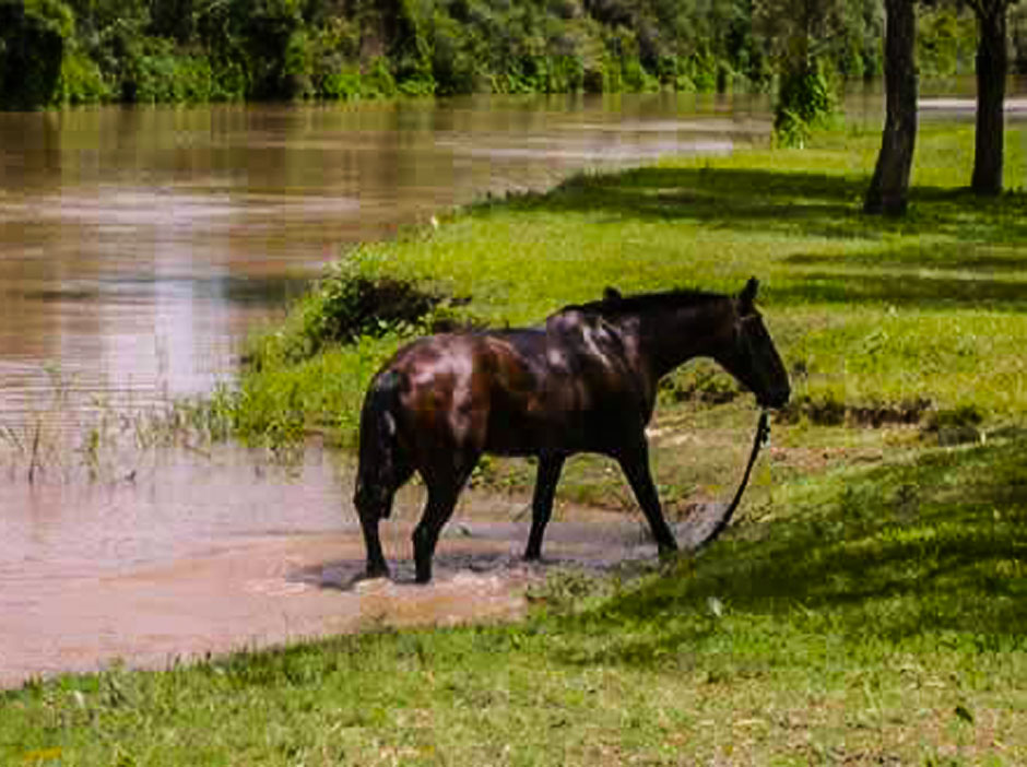 Turismo Rural de Diamante