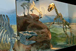 Museo Paleontológico en Trelew