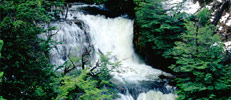 Cascadas de Nant y Fall en Trevelin