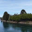 Lago Moquehue